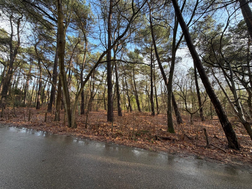 Sperwerlaan - 28 - lot 2 - 2280