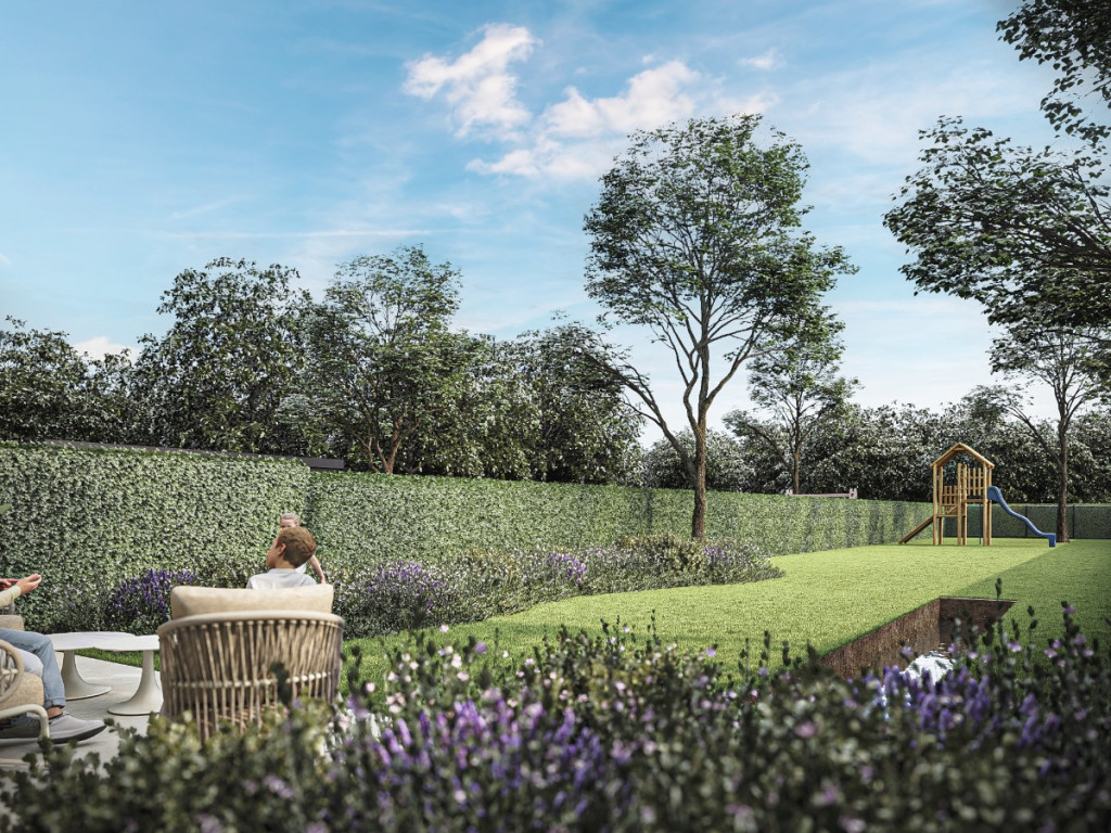 Beveren Dries - 90 - - Lot 2 - 8792