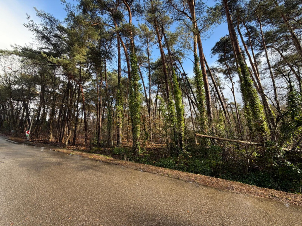 Sperwerlaan - 28 - lot 1 - 2280