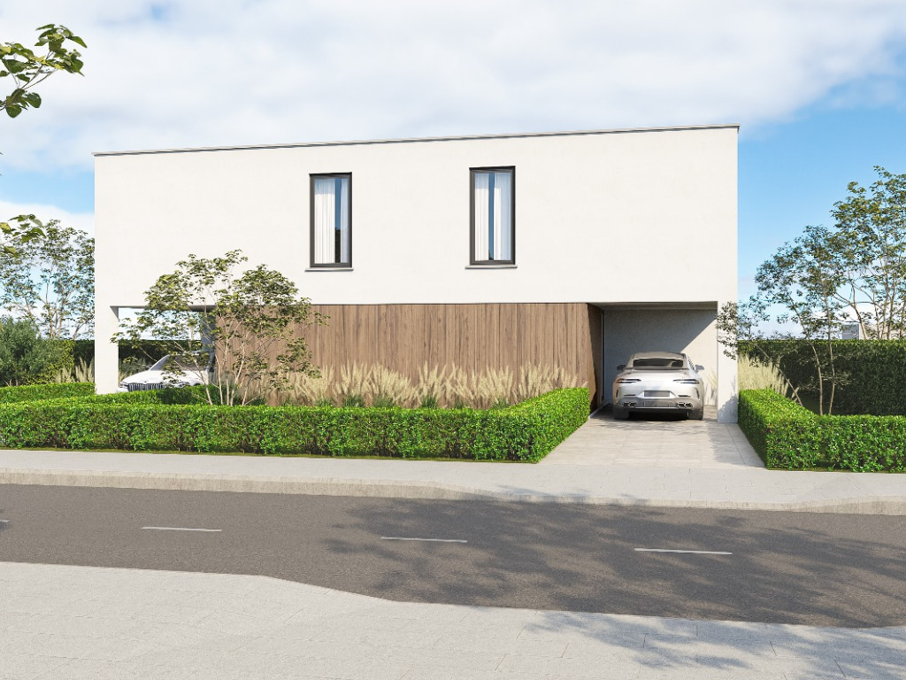 Wolfsstraat - 1A - - 3660