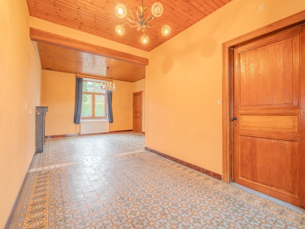 Bois d'ohey - 317 - - 5350