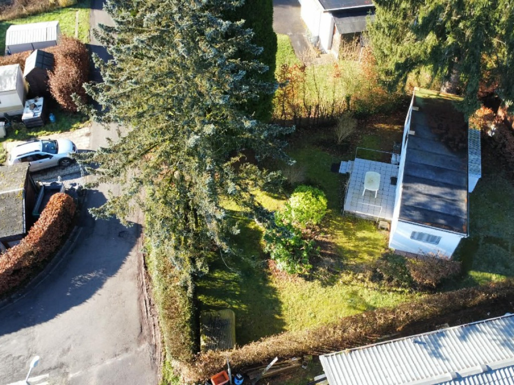 Tier de Rinze - 37 - 141 - 6940