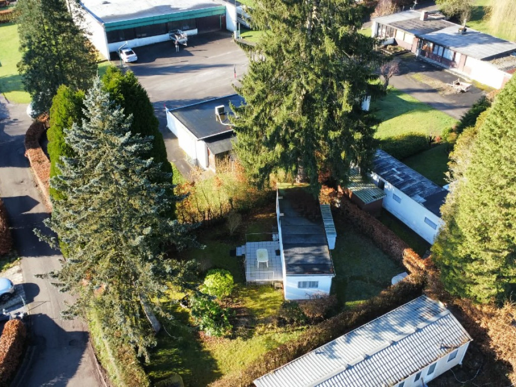 Tier de Rinze - 37 - 141 - 6940