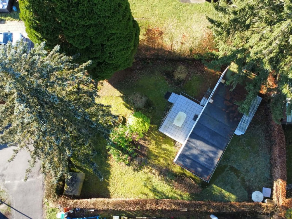 Tier de Rinze - 37 - 141 - 6940