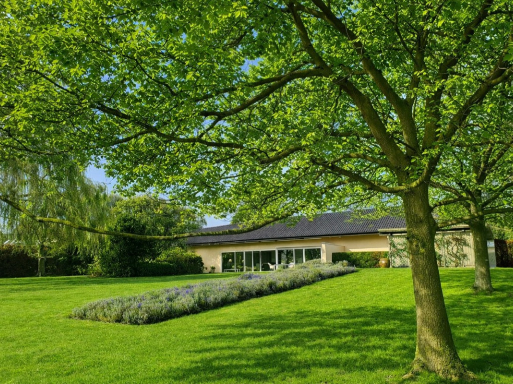 Felix D'Hoopstraat - 209 - - 8700