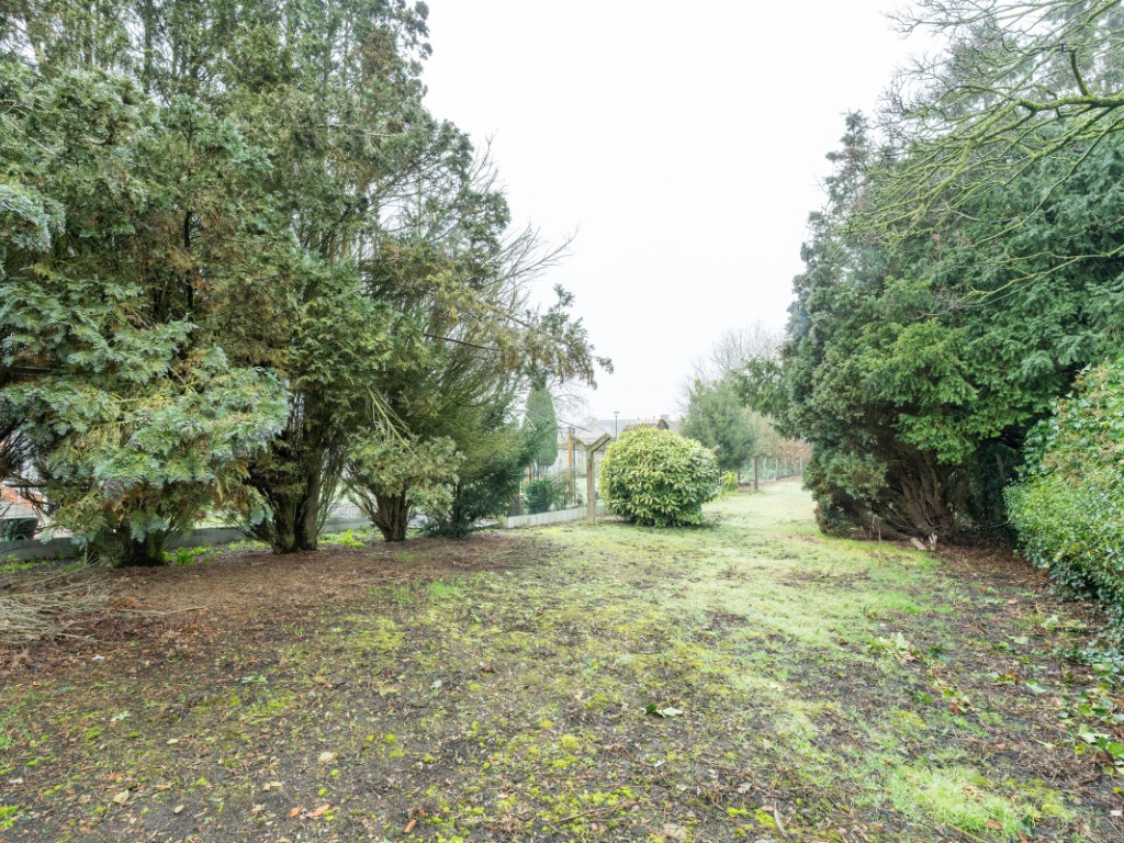 Boekhoutedorp - 23 - - 9961