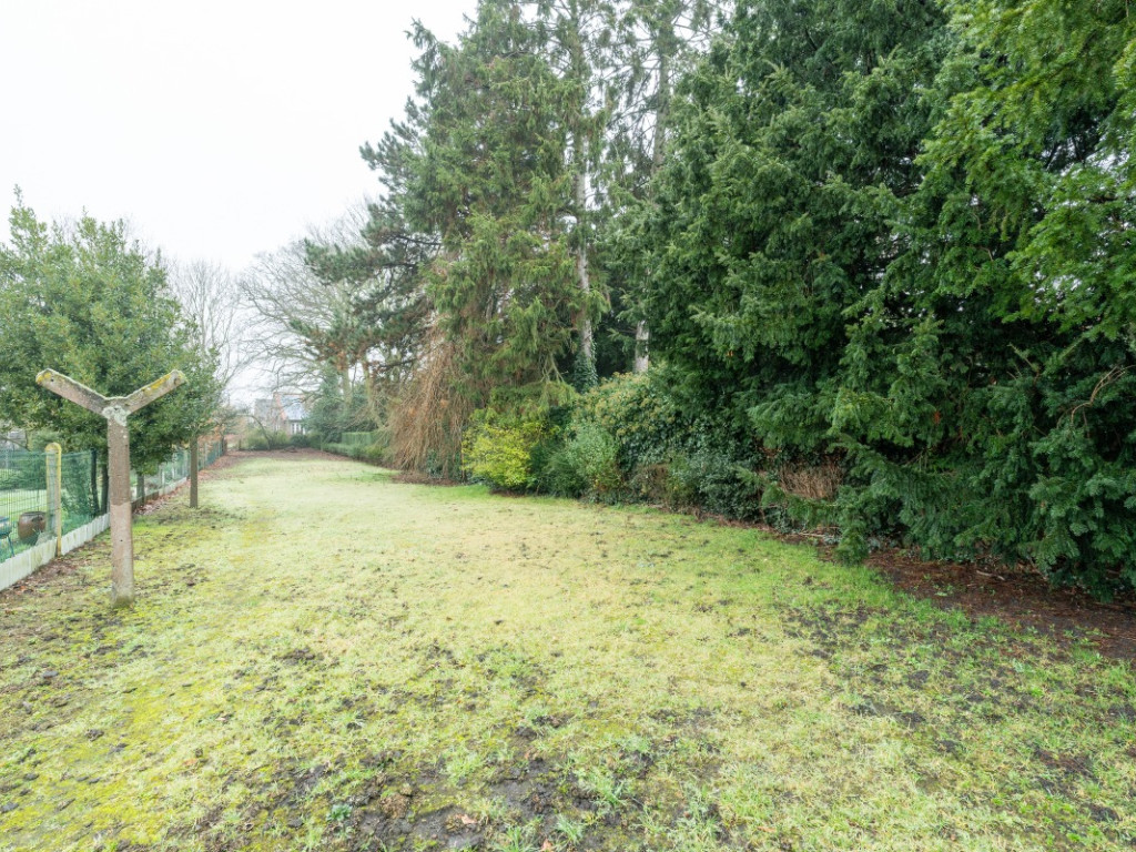 Boekhoutedorp - 23 - - 9961