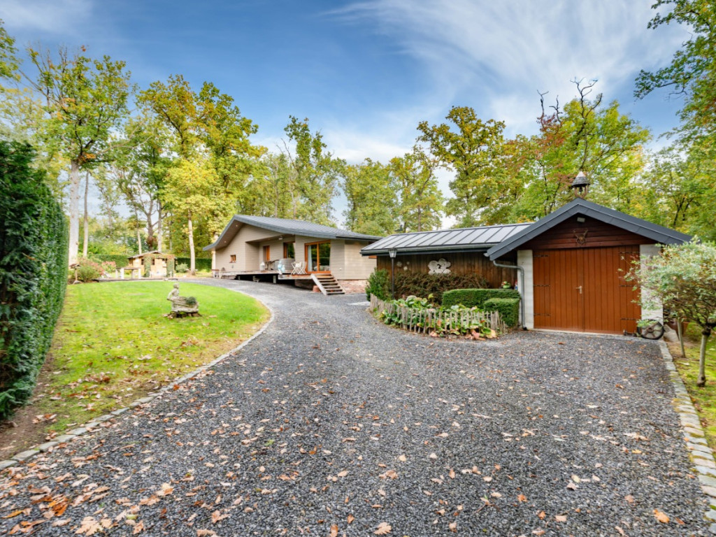 Chemin des Sangliers - 222 - - 5377