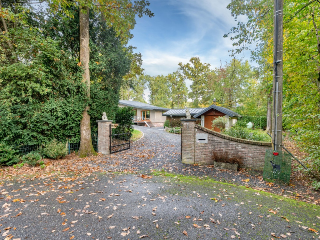 Chemin des Sangliers - 222 - - 5377