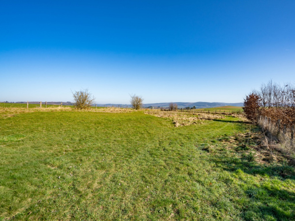 Halleux - 9 - D - 6980