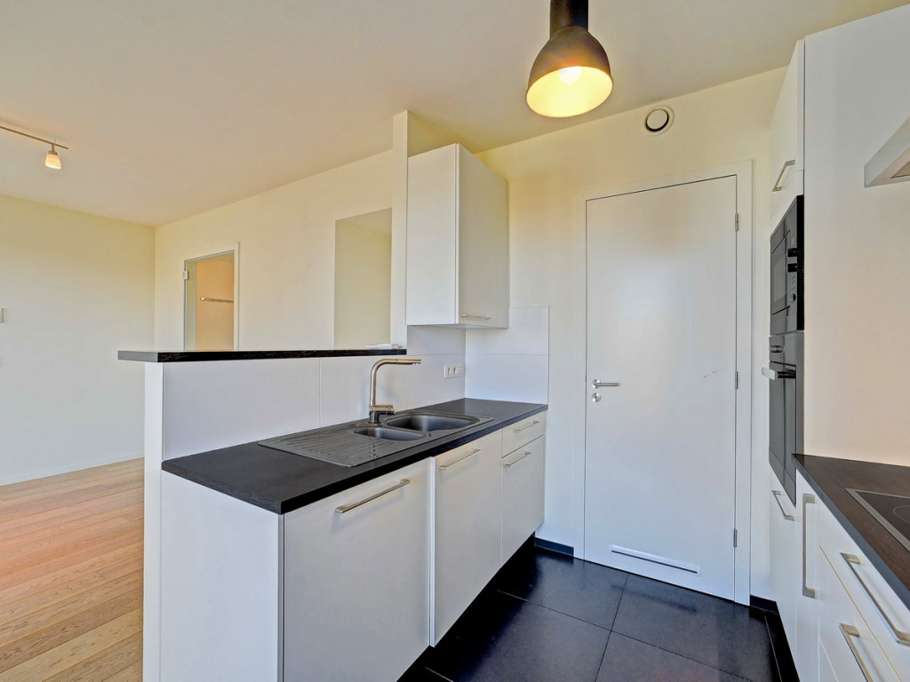 Allée Louise Van den Plas - 1 - D53 - 1200