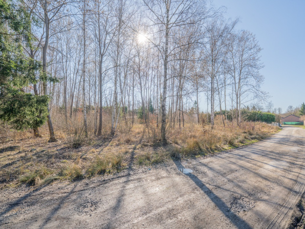Avenue du Général Vandamme - 31 - - 5660
