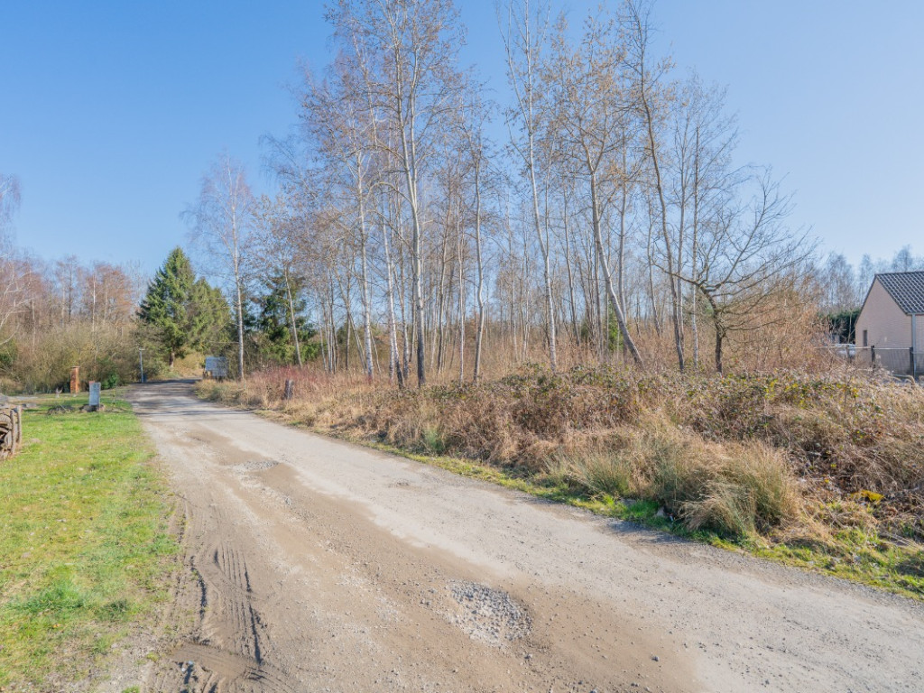 Avenue du Général Vandamme - 31 - - 5660