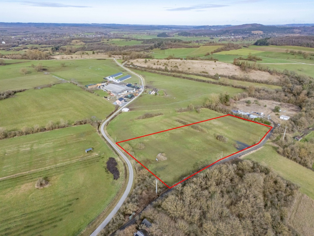 Ave et auffe - 40 - - 5580