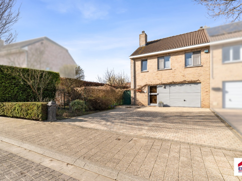 Spildoorn - 7 - - 1731