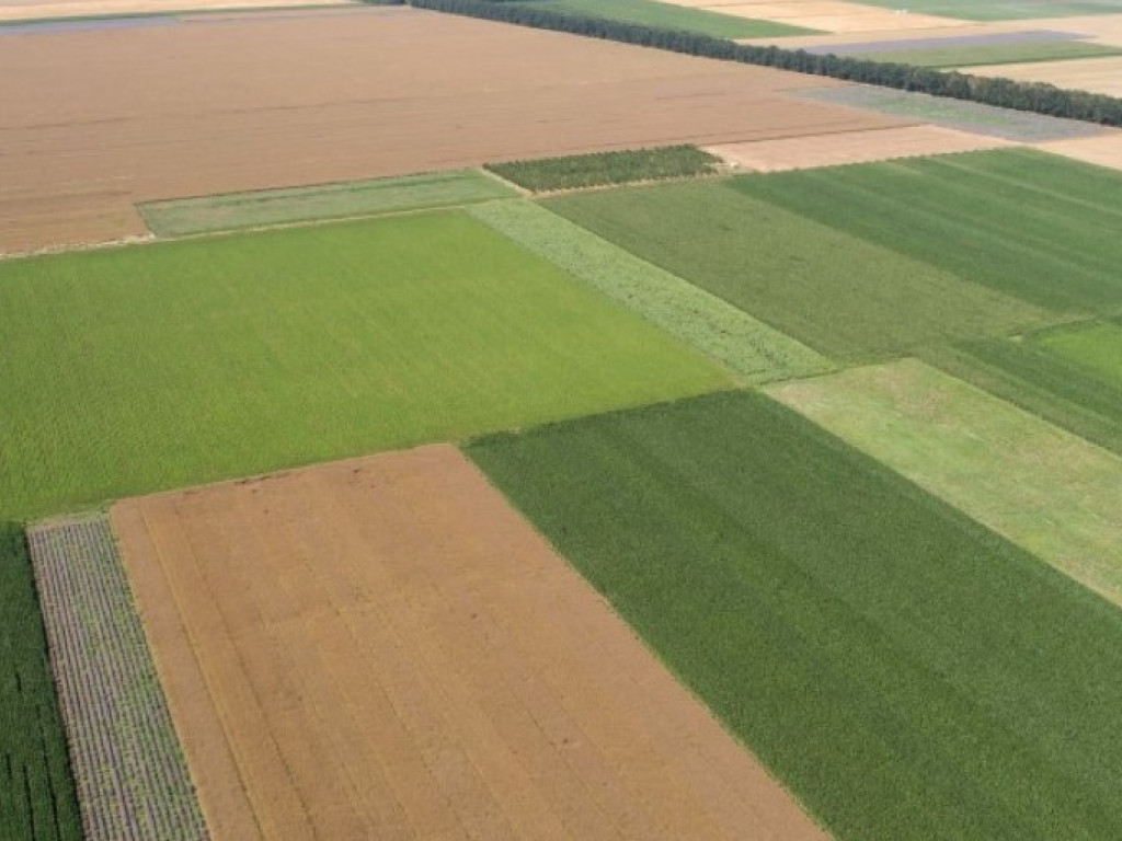 Vaartstraat - 55 - - 8630