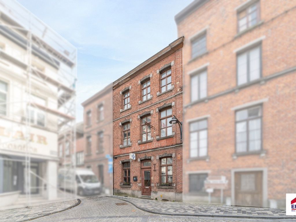 Rue Henry Leroy - 1 - - 7060