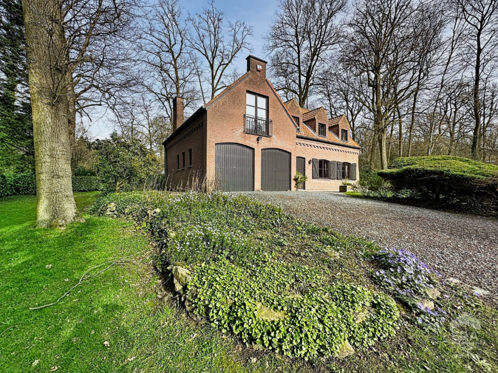 Dréve de la Tourterelle - 6 - - 1430