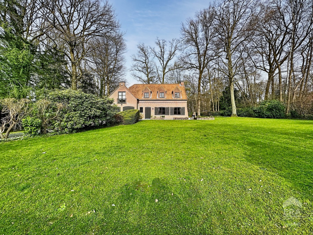 Dréve de la Tourterelle - 6 - - 1430