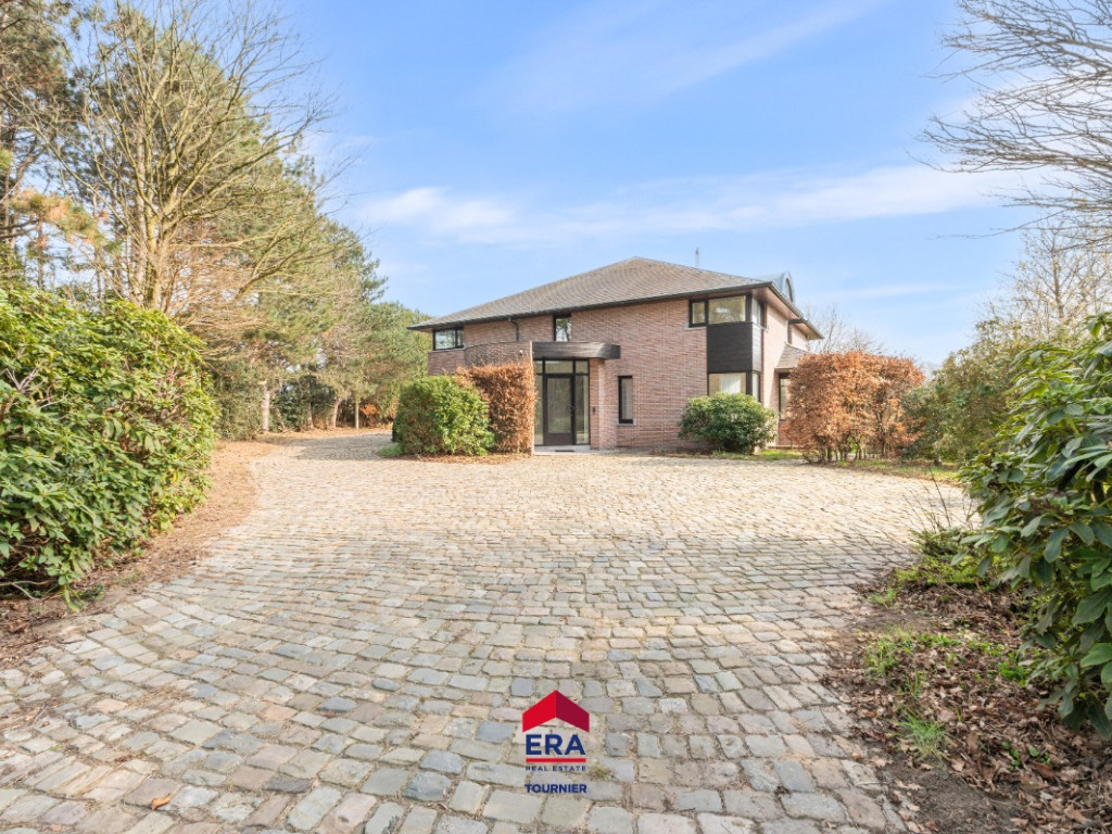 Kattenberg - 41 - - 2480