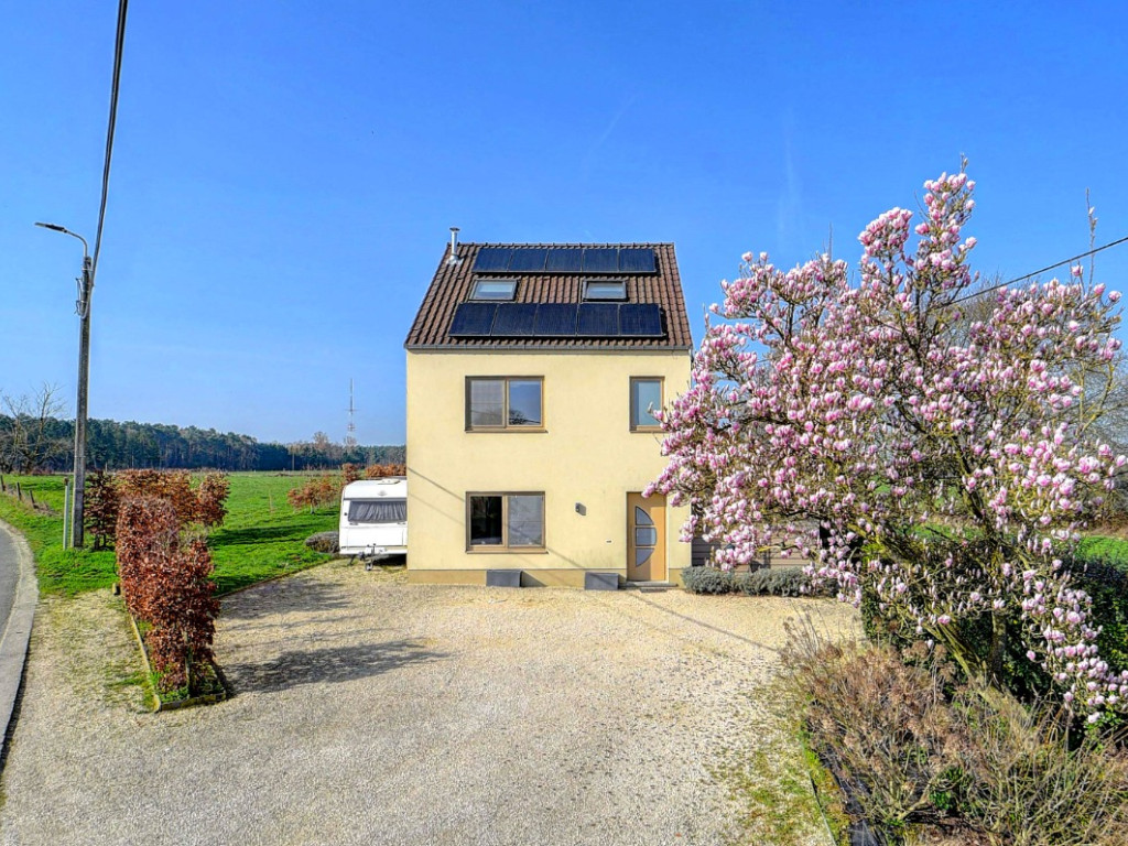 Hasselheidestraat - 4 - - 3040