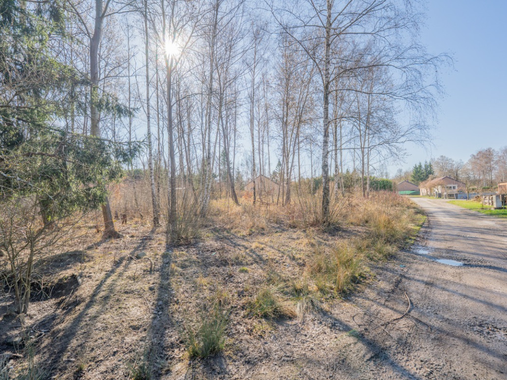 Allée des Sapins - 96 - - 5600