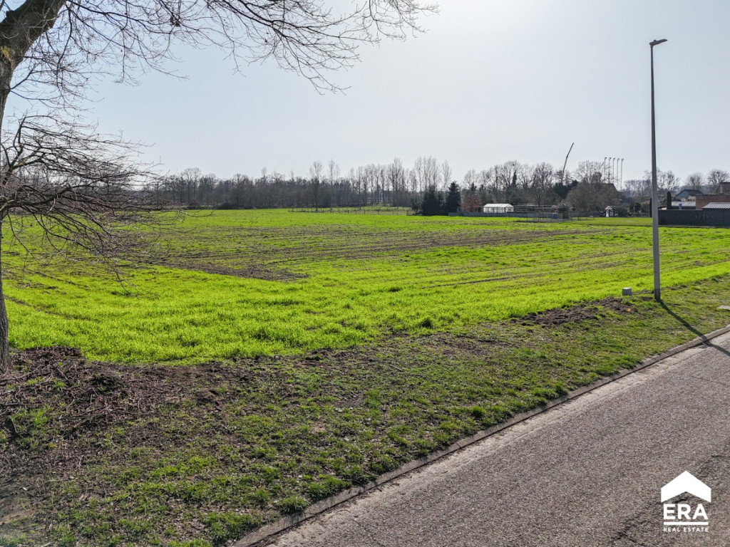 Mangelbeekstraat - 20 - - 3560