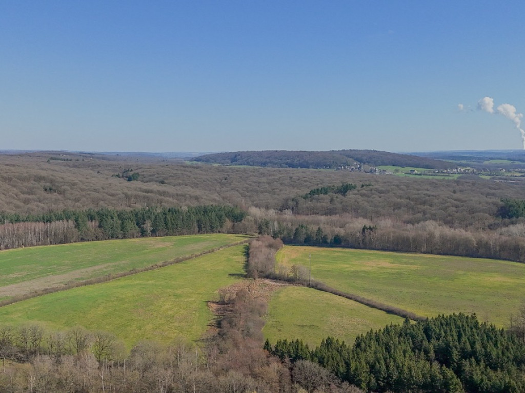 Allée des Sapins - 96 - - 5600