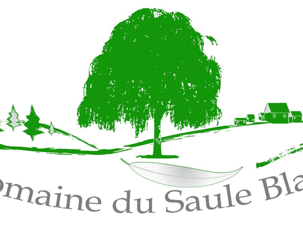 Rue de la Sarthe - 4 - - 4217