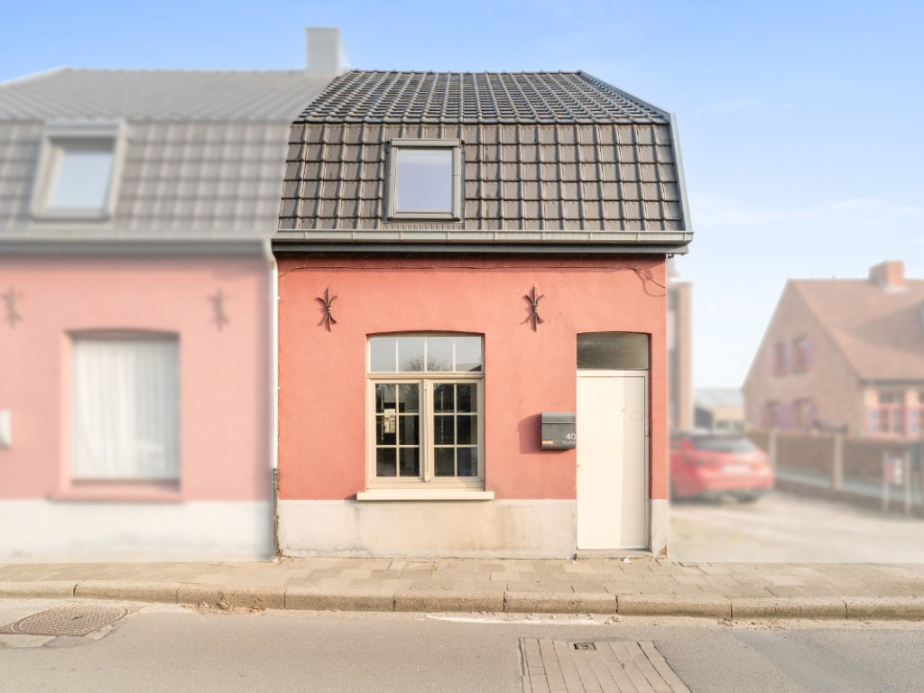 Zandvleuge - 40 - - 9900