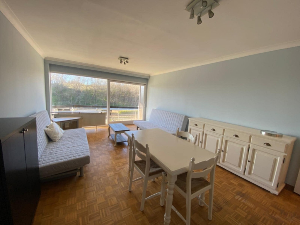 Ruzettelaan - 157 - 412 - 8370