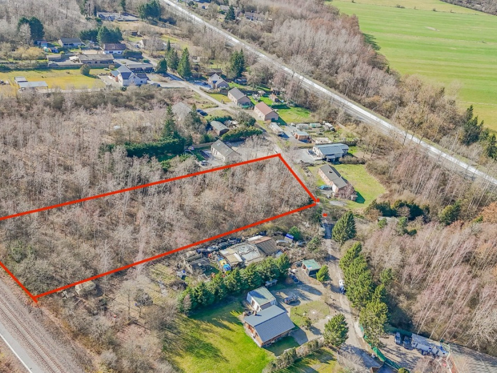 Allée des Sapins - 31G et 31D - - 5600