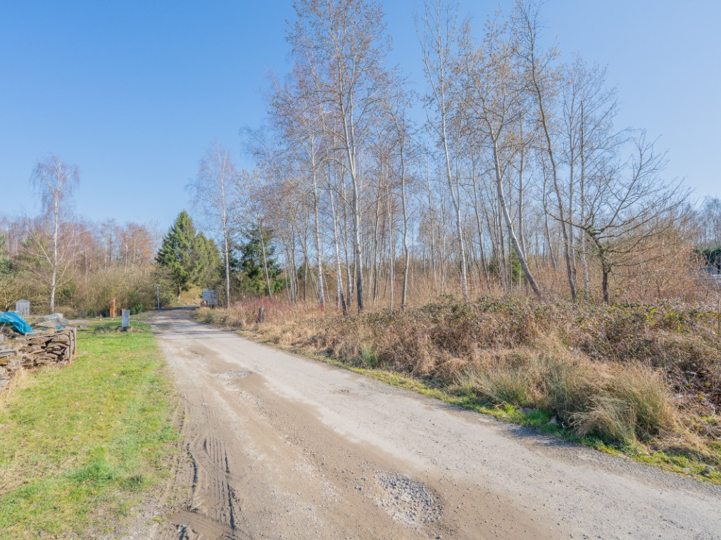 Allée des Sapins - 31G et 31D - - 5600