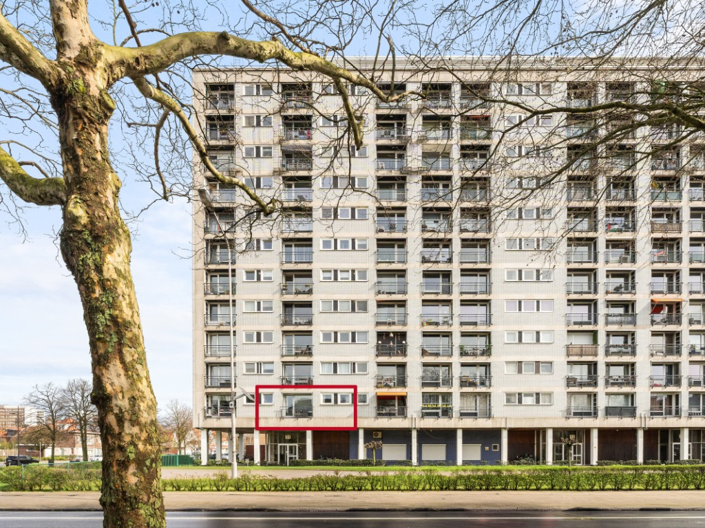 Halewijnlaan - 51 - 1 - 2050