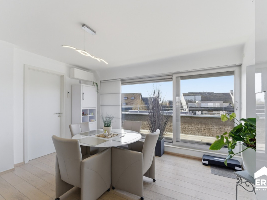 Paardenmarkt - 14 - c001 - 8970