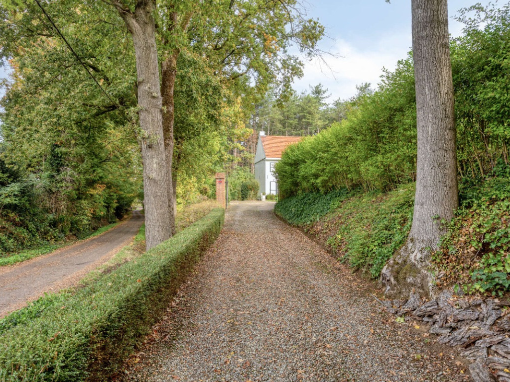 Wijnstraat - 11 - - 3290