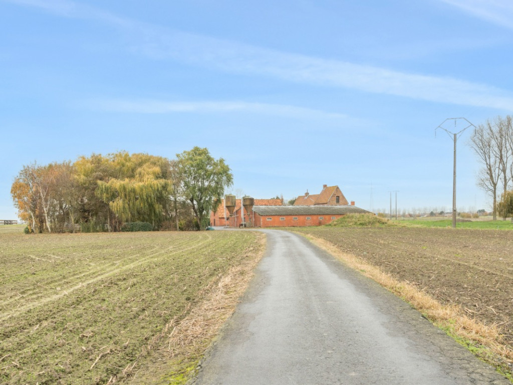 Wulpendammestraat - 4 - - 8670