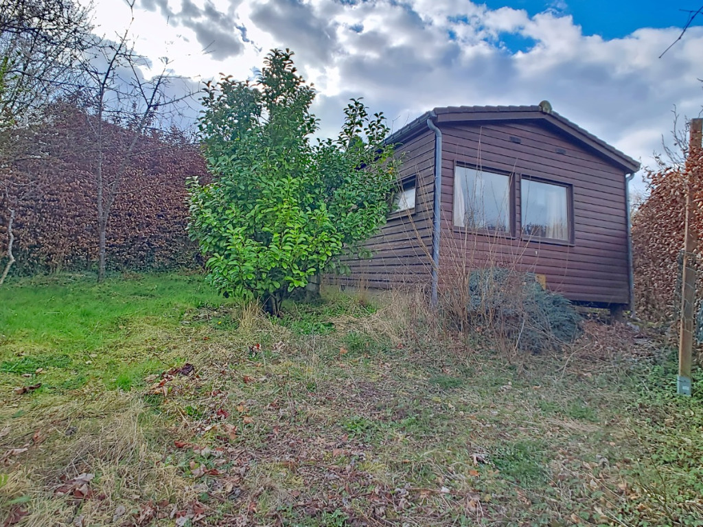 Tier de Rinze - 37 - 165 - 6940