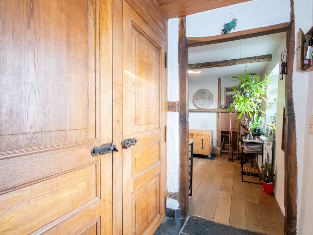 Tige du Bois de Gras - 12 - - 6941