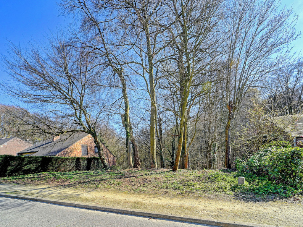 Groenlaan - 5 - - 3080