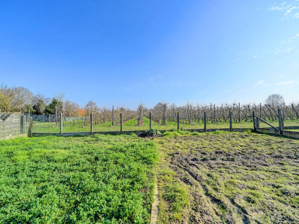 Keelstraat - 50 - - 3391