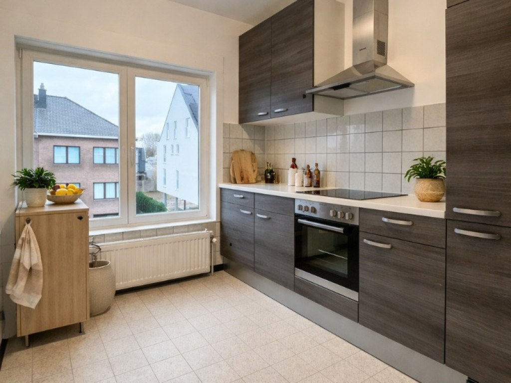 Hoogtepunt - 11 - - 1731