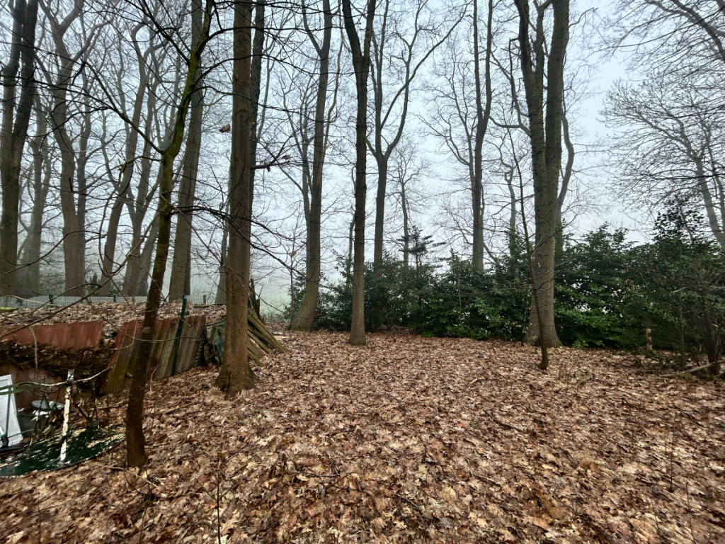 Sprookjesbosdreef - 29 - - 8980