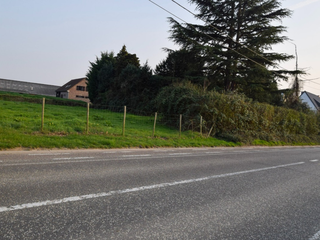 Groot Overlaar - 144 - - 3300