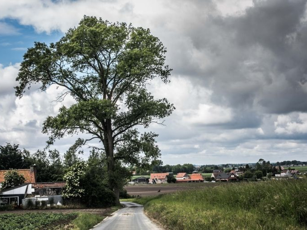 Neerloopstraat - 1 - - 8650