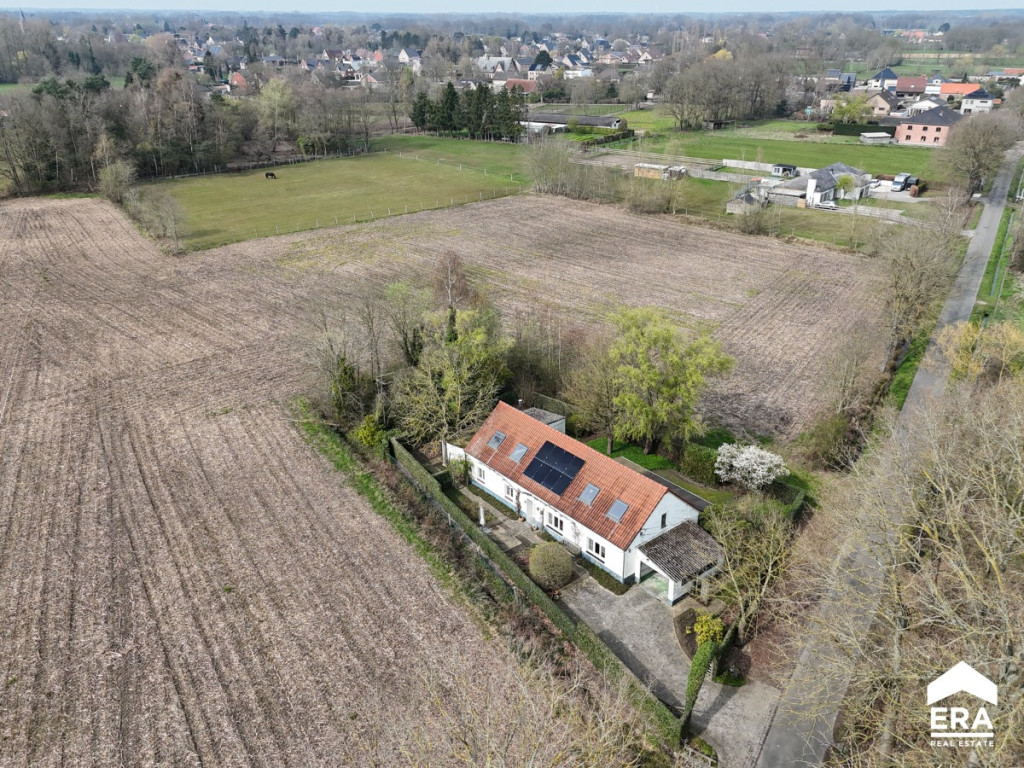 Molenstraat - 16 - - 2260