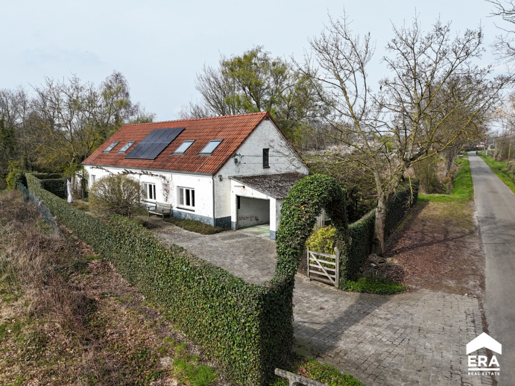 Molenstraat - 16 - - 2260