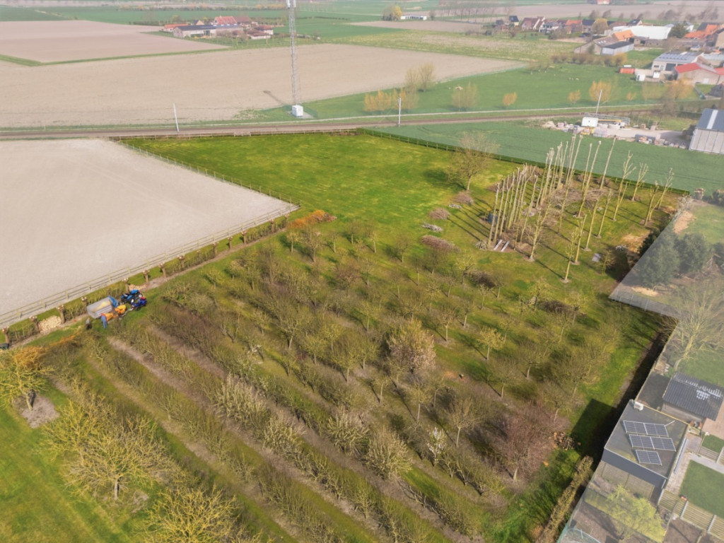 Reygaerdijkstraat - 0 - - 8630