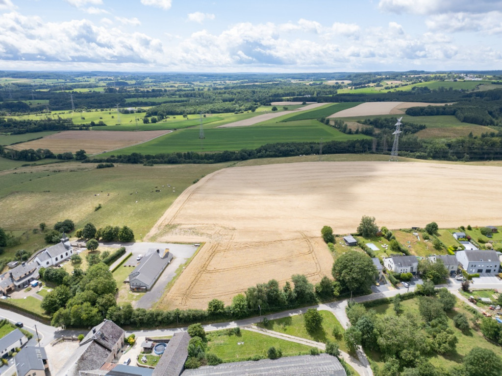 Des blés - 44 - LOT 2 - 6717