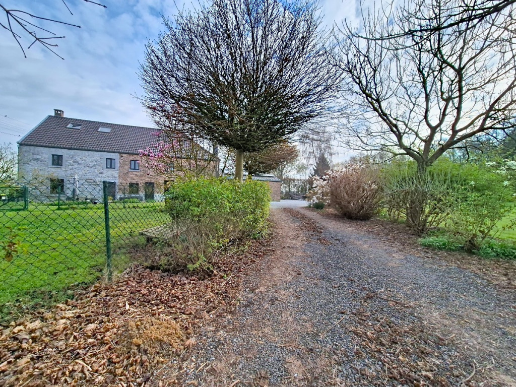 Rue Saint-Sauveur - 290 - - 4520